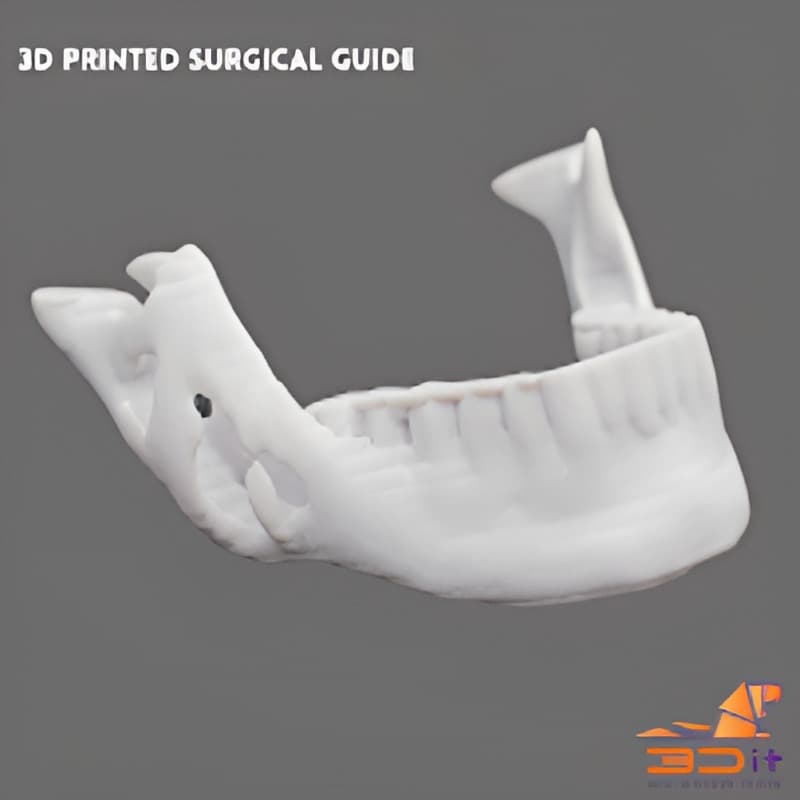 Medical and Anatomical Models image 3